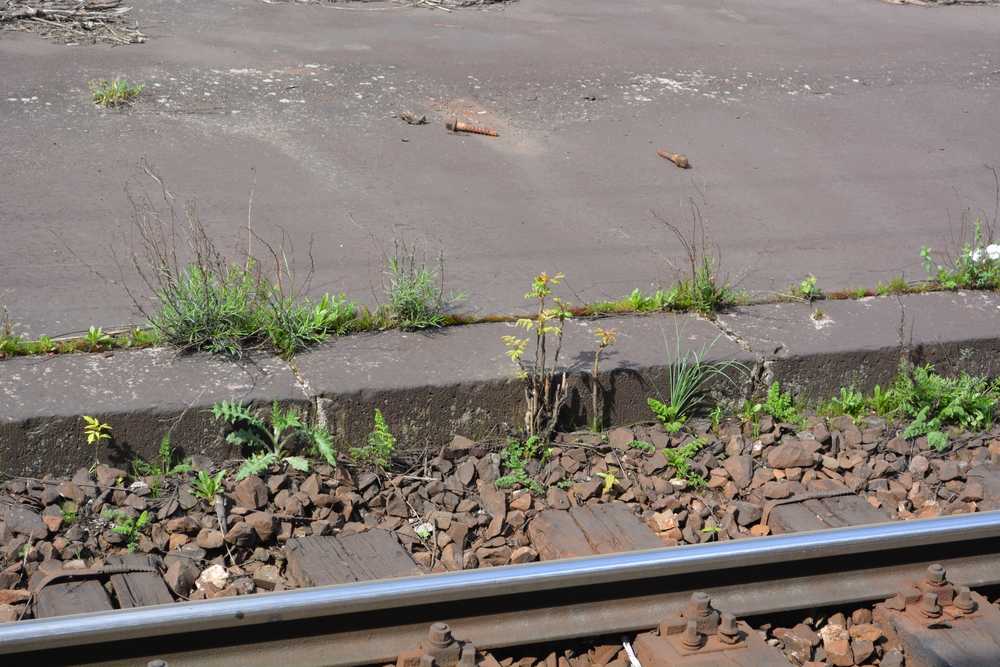 Die Reise zu meinen Eltern