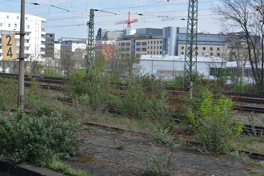 Die Reise zu meinen Eltern