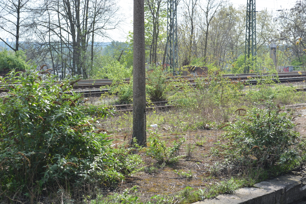 Die Reise zu meinen Eltern