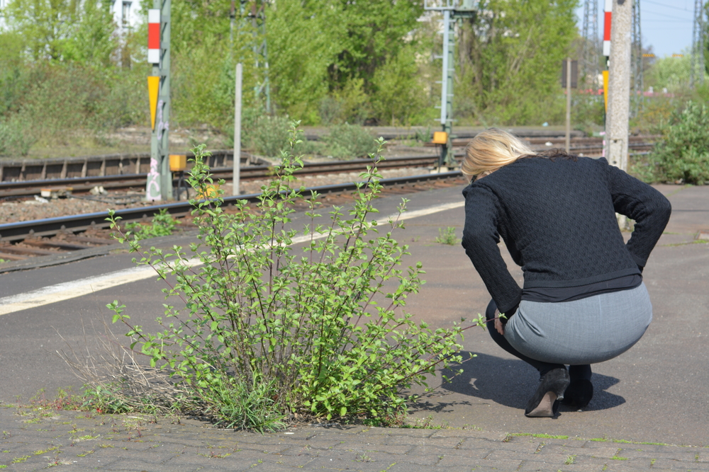 Die Reise zu meinen Eltern
