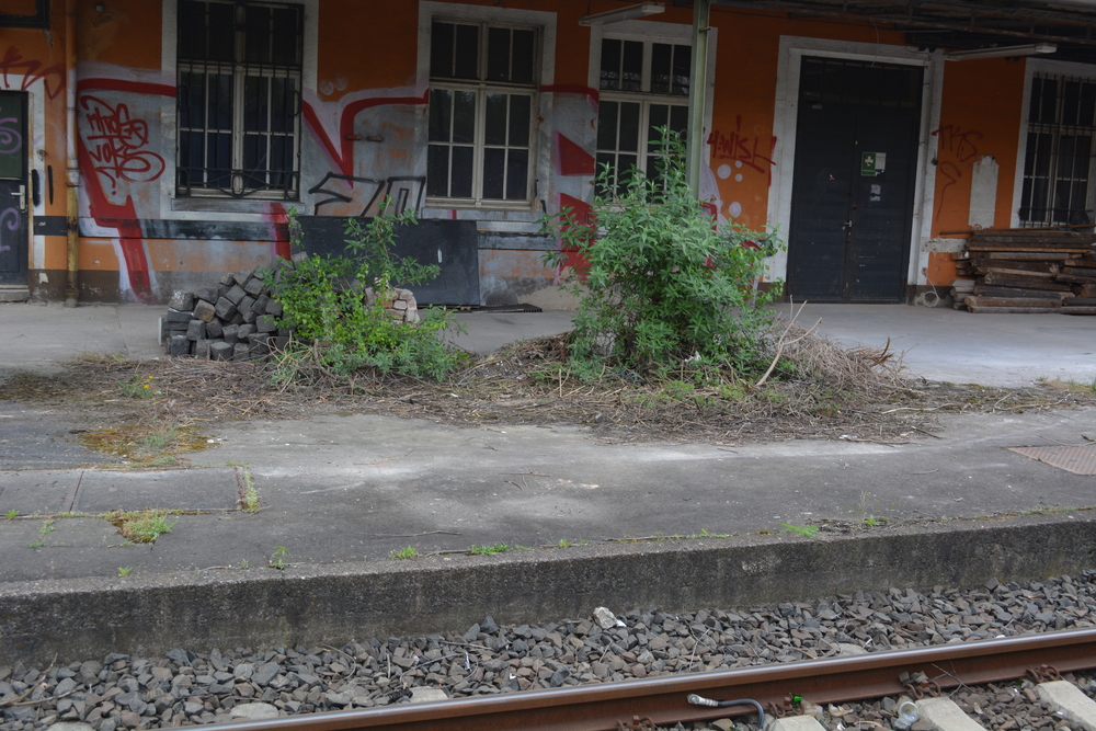 Die Reise zu meinen Eltern