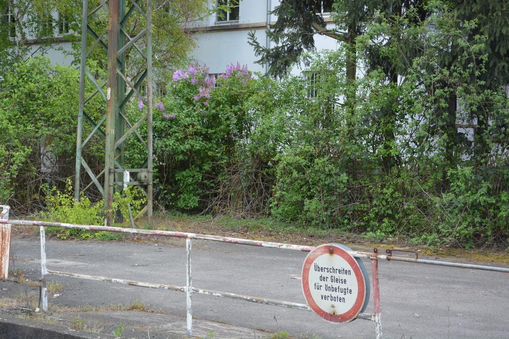 Die Reise zu meinen Eltern