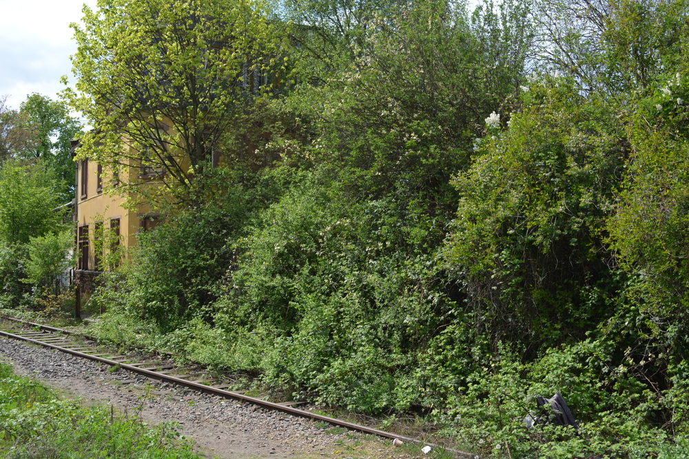 Die Reise zu meinen Eltern