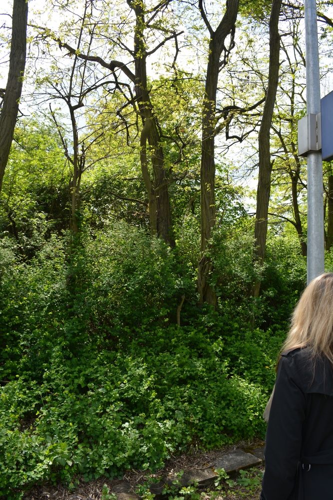 Die Reise zu meinen Eltern