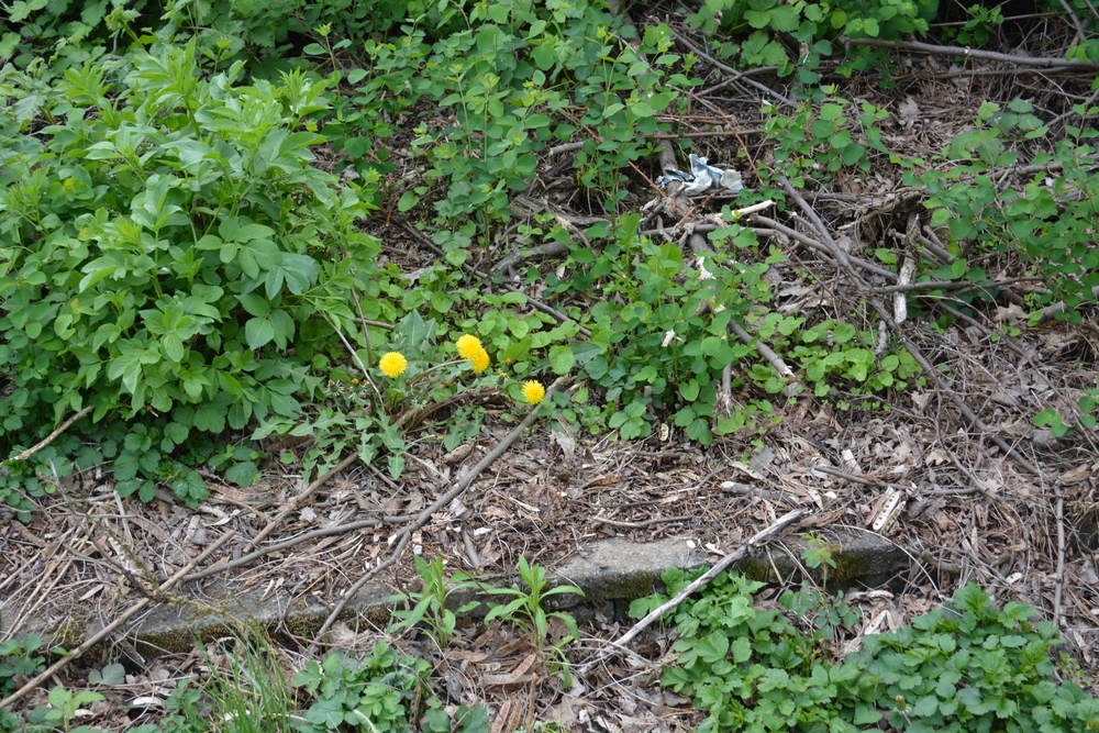Die Reise zu meinen Eltern