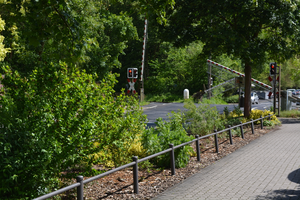 Die Reise zu meinen Eltern