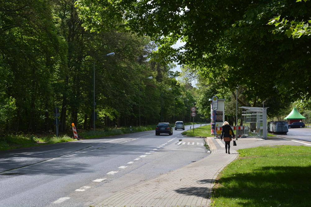 Die Reise zu meinen Eltern