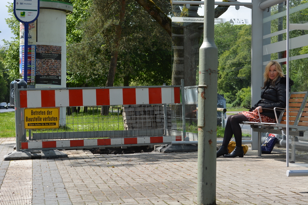 Die Reise zu meinen Eltern