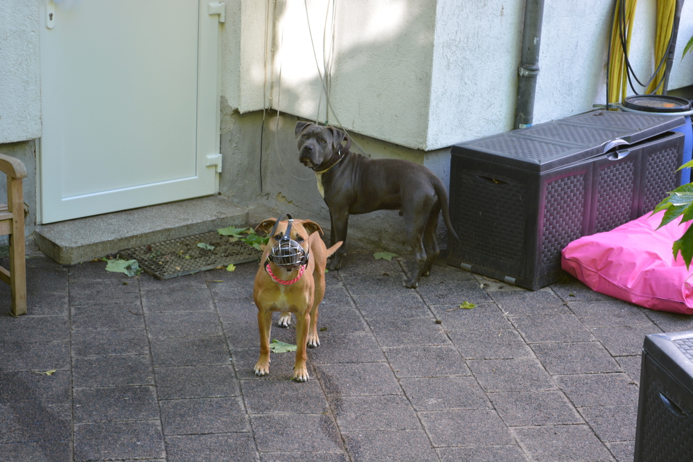 Die Reise zu meinen Eltern