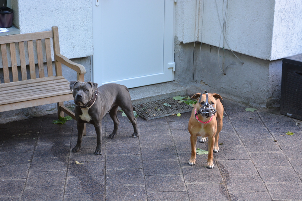 Die Reise zu meinen Eltern