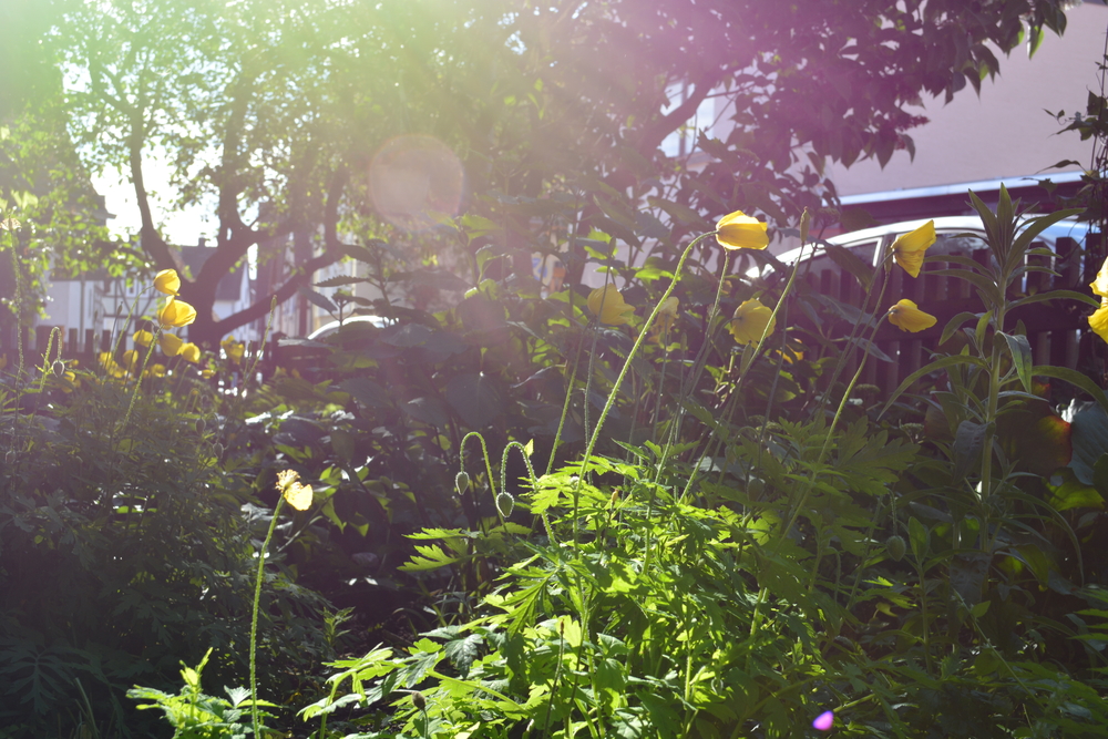 Die Reise zu meinen Eltern